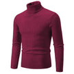 Maroon turtleneck sweater on a white background